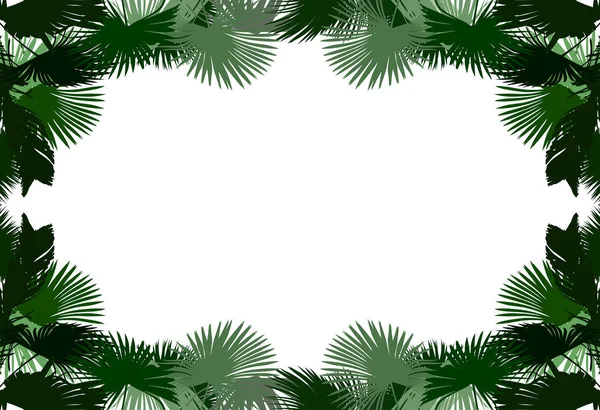 Illustration Palm Tree Leaves Frame Isolated White Background — Stock Vector
