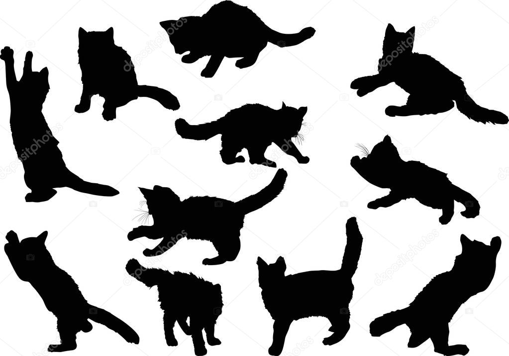 illustration with cat silhouettes collection isolated on white background