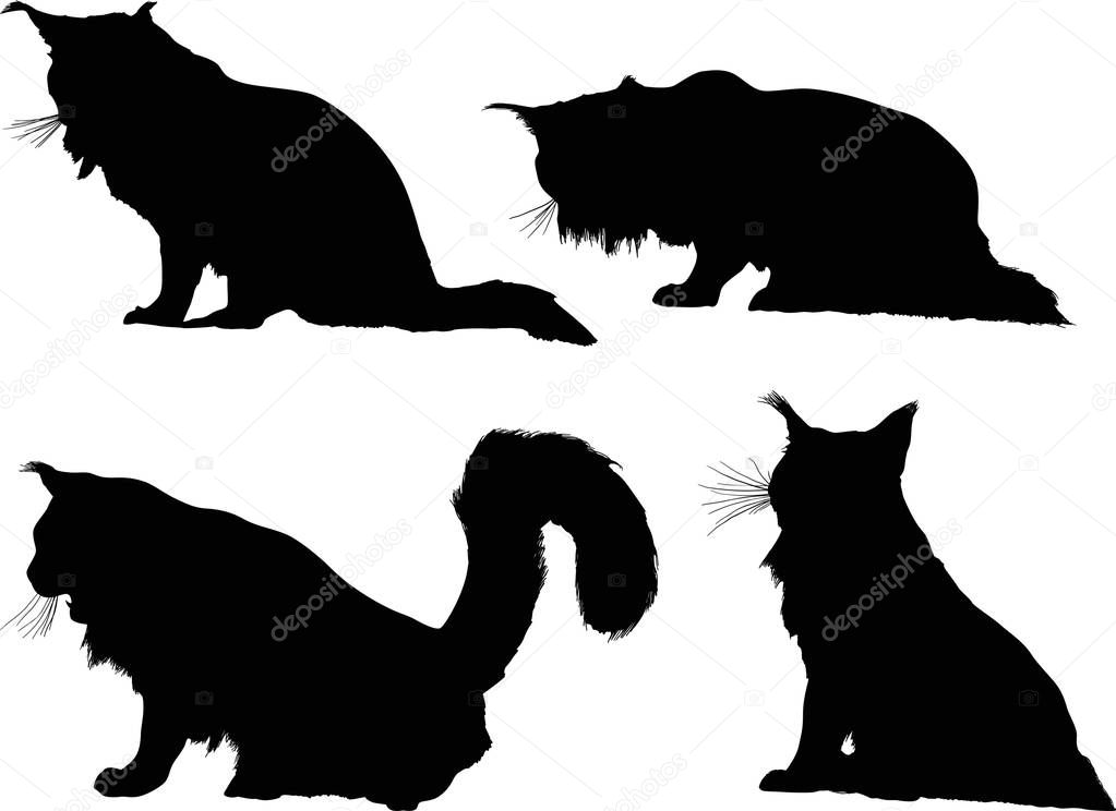 illustration with cat silhouettes collection isolated on white background