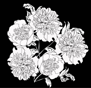 illüstrasyon izole siyah arka plan üzerine beyaz şakayık çiçekleri grup ile