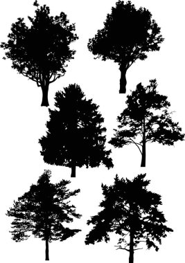 illüstrasyon izole beyaz zemin üzerine ağaç siluetleri ile