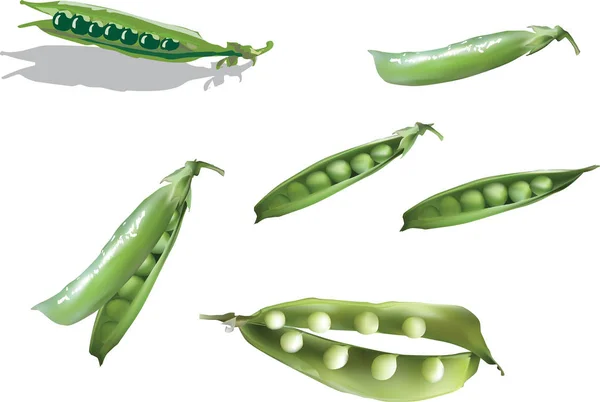 例证与一组绿色豌豆查出的白色背景 — 图库矢量图片