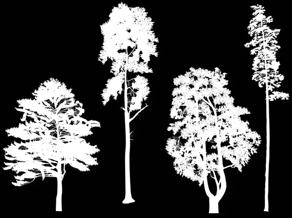 Ilustration Met Pine Silhouetten Geïsoleerd Zwarte Achtergrond — Stockvector