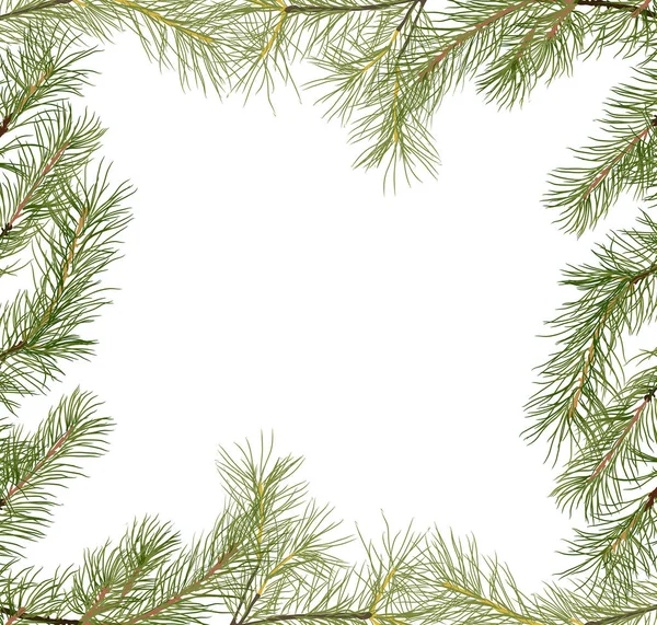 Illustration Frame Pine Branch Isolated White Background — Stock Vector