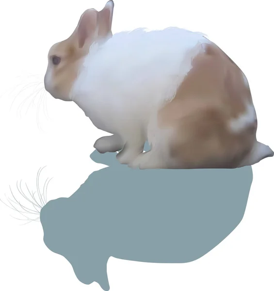Illustration Med Kanin Isolerad Vit Bakgrund — Stock vektor