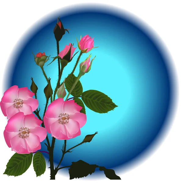 Illustratie Met Roze Bloemen Blauwe Achtergrond — Stockvector