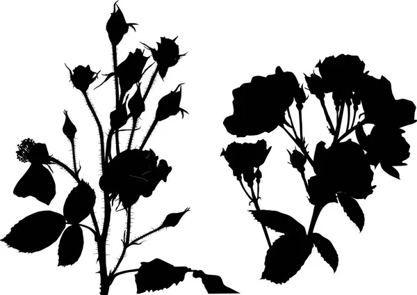 Illustration Avec Silhouettes Roses Isolées Sur Fond Blanc — Image vectorielle