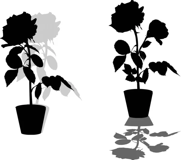 Illustration Avec Silhouettes Roses Isolées Sur Fond Blanc — Image vectorielle