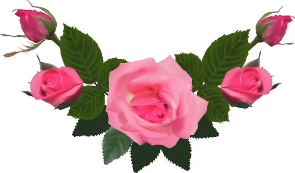 Ilustração Com Flores Rosas Isoladas Fundo Branco — Vetor de Stock