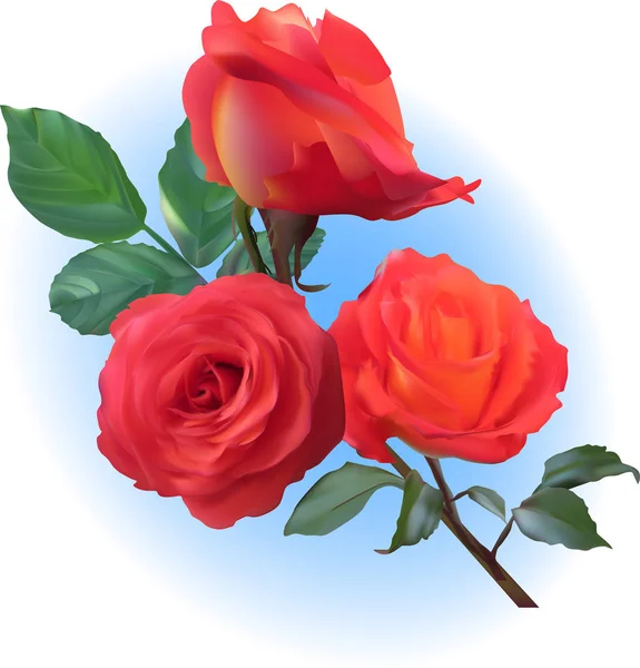 Εικονογράφηση Τριαντάφυλλο Άνθη Γαλάζιο Φόντο — Διανυσματικό Αρχείο