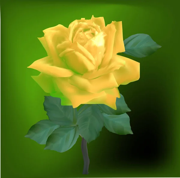 Ilustrace Světlou Barvu Růže Zeleném Pozadí — Stockový vektor