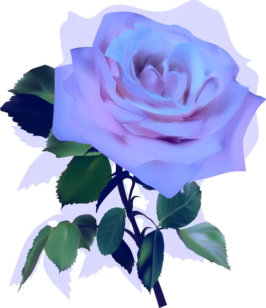Ilustração Com Flor Rosa Lilás Isolado Fundo Branco — Vetor de Stock