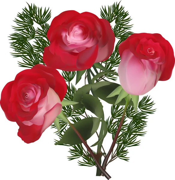 Illustration Mit Drei Roten Rosen Auf Weißem Hintergrund — Stockvektor