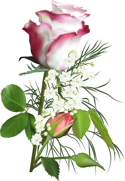 Illustration Rose Flower Isolated White Background — Stock Vector