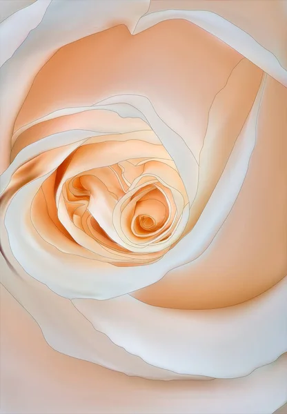 Εικονογράφηση Ελαφρύ Ροδαλό Λουλούδι Γκρο Πλαν — Διανυσματικό Αρχείο