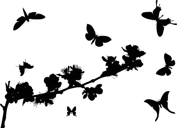 Illustration Avec Des Fleurs Cerisier Des Papillons Isolés Sur Fond — Image vectorielle