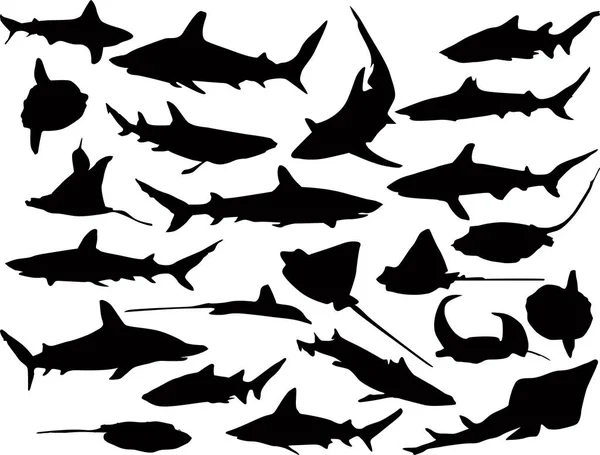 Illustration Avec Silhouettes Poissons Collection Isolée Sur Fond Blanc — Image vectorielle