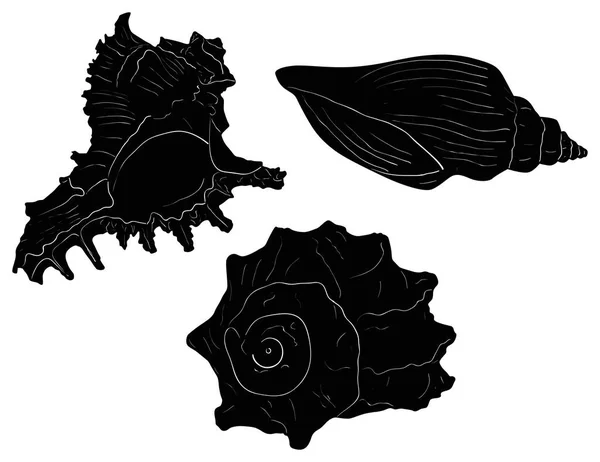 Illustration Med Tre Svarta Shellfishes Skissar Isolerade Vit Bakgrund — Stock vektor