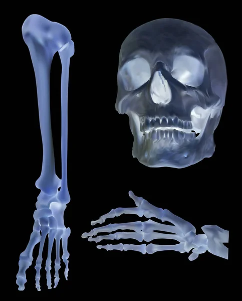 插图与一组人骨骼隔离在黑色背景上 — 图库矢量图片