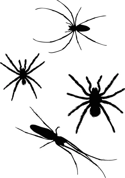 Illustration Med Fyra Spider Silhuetter Isolerad Vit Bakgrund — Stock vektor