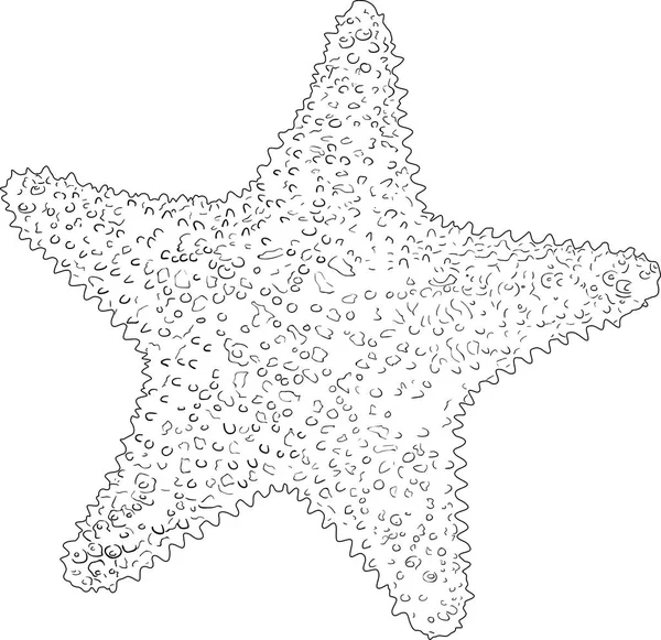 Иллюстрация Эскизом Светлой Звезды Белом Фоне — стоковый вектор