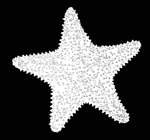 Illustration Light Starfish Sketch Isolated Black Background — Stock Vector