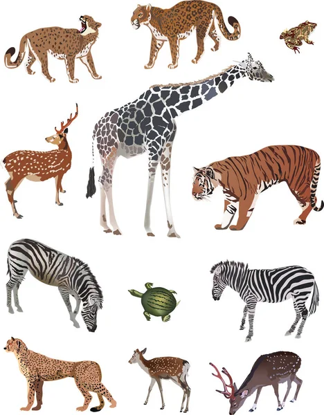 Illustration Mit Einer Reihe Von Farbigen Tieren Isoliert Auf Weißem — Stockvektor