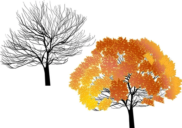 Illustration Orange Bare Trees Isolated White Background — Stock Vector