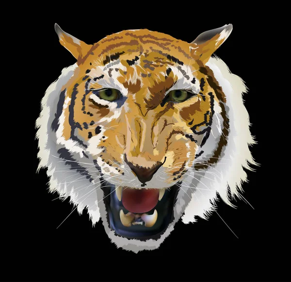 Ilustración Con Retrato Tigre Aislado Sobre Fondo Negro — Vector de stock