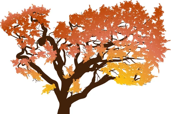 Ілюстрація Помаранчевим Деревом Ізольована Білому Тлі — стоковий вектор