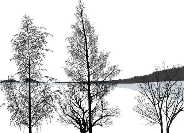 Illustration Med Kala Träd Nära Grå Lake — Stock vektor