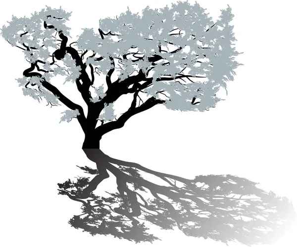 Illustrazione Con Albero Isolato Sfondo Bianco — Vettoriale Stock