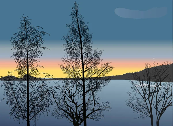 湖の近くの秋のツリーの図 — ストックベクタ
