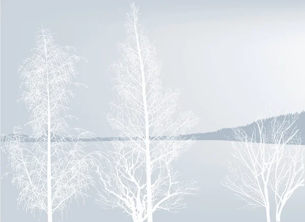 Illustration Avec Des Arbres Nus Près Lac Bleu — Image vectorielle