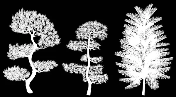 Ilustration 在黑色背景查出的松树剪影 — 图库矢量图片