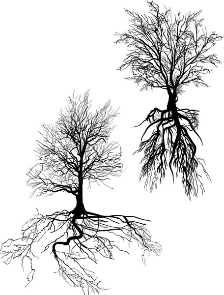 Εικονογράφηση Δέντρο Σιλουέτες Που Απομονώνονται Λευκό Φόντο — Διανυσματικό Αρχείο