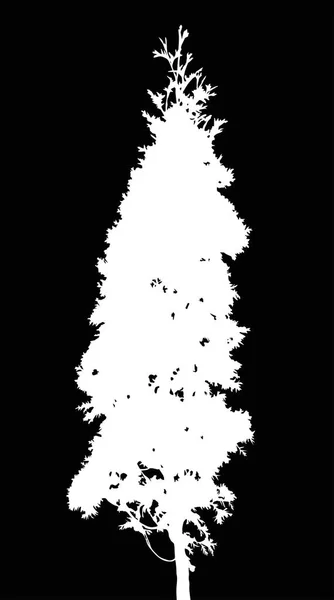 黒の背景に分離されたモミの木のシルエット イラスト — ストックベクタ