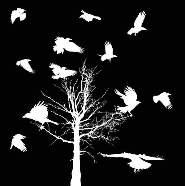 与白色干大树和乌鸦剪影孤立在黑色背景上的插图 — 图库矢量图片