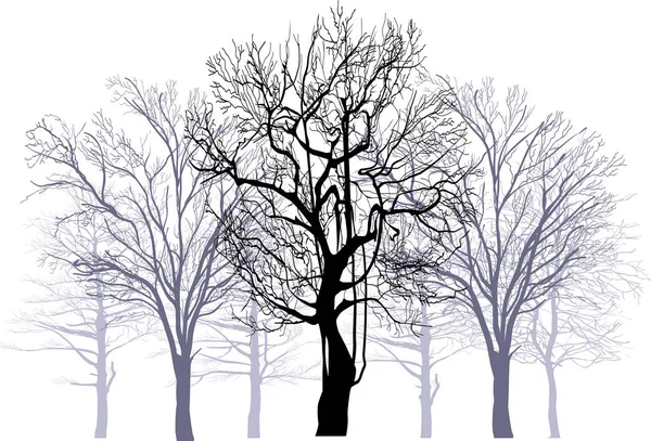 Απεικόνιση Γυμνά Δέντρα Απομονωμένα Λευκό Φόντο — Διανυσματικό Αρχείο