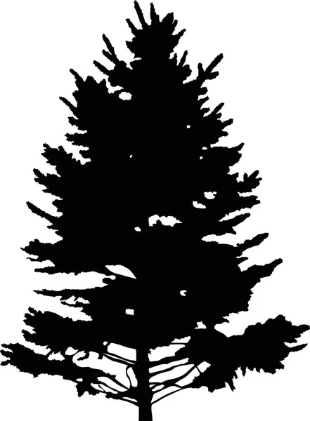 Illustration Mit Tannenbaum Silhouette Isoliert Auf Weißem Hintergrund — Stockvektor