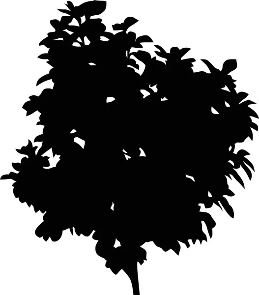 Απεικόνιση Σιλουέτα Του Δέντρου Απομονωμένη Λευκό Φόντο — Διανυσματικό Αρχείο