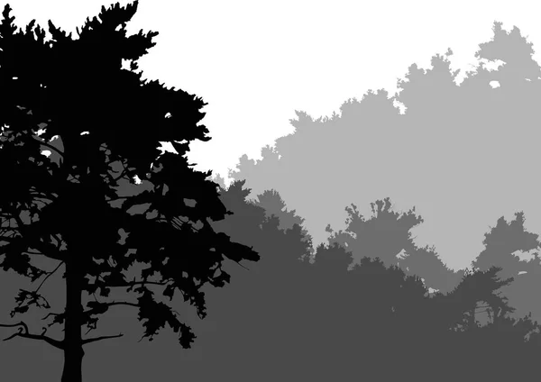 白い背景に灰色の森があるイラスト — ストックベクタ