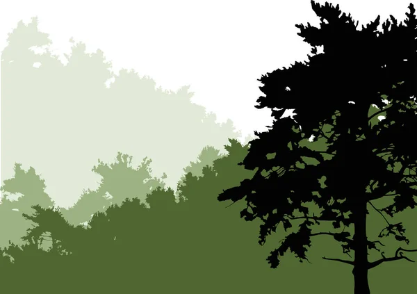 Ilustración Con Bosque Verde Aislado Sobre Fondo Blanco — Vector de stock