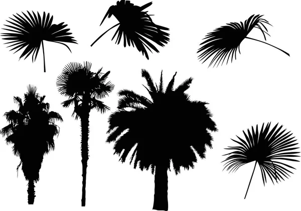 Illustration Palm Trees Isolated White Background — Stock Vector