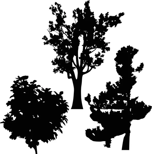 Illustration Avec Silhouettes Arbres Isolés Sur Fond Blanc — Image vectorielle