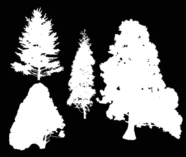 Illustration Avec Des Silhouettes Pins Sapins Isolés Sur Fond Noir — Image vectorielle