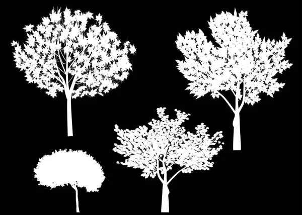 Illustration Mit Bäumen Silhouette Isoliert Auf Schwarzem Hintergrund — Stockvektor