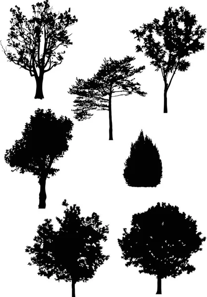Ilustração Com Árvores Silhueta Isolada Sobre Fundo Branco —  Vetores de Stock