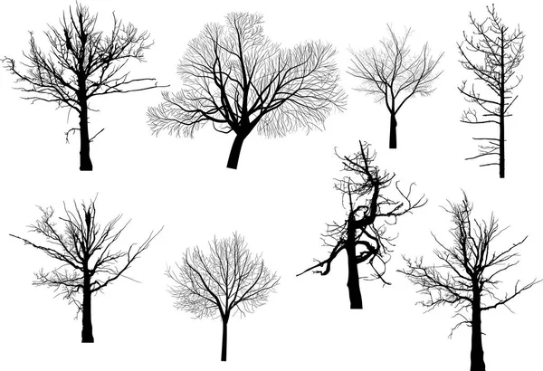 裸木の集合と図は 白い背景で隔離 — ストックベクタ