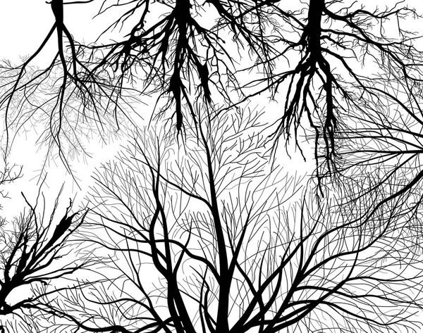Εικονογράφηση Μαύρο Γυμνά Δέντρα Που Απομονώνονται Λευκό Φόντο — Διανυσματικό Αρχείο